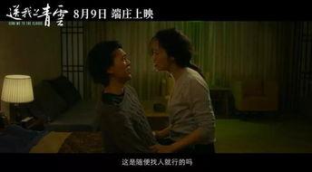 看黄国产在线电影,黄片泛滥背后的真相与反思