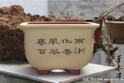 国产精盆在线观看,精彩剧情等你解锁