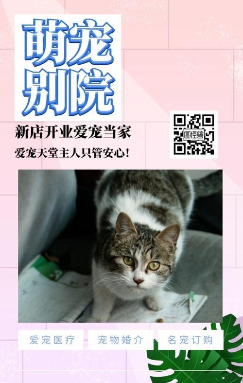 秋霞在线日韩国产亚洲,日韩产亚洲影视盛宴